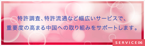 特許調査、特許流通など幅広いサービスで、重要度の高まる中国への取り組みをサポートします。
